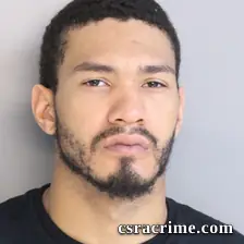 Devin Tricoche booking photo