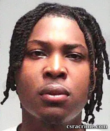 Devin Vanquia Wilson booking photo