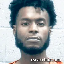 Devin Williams booking photo