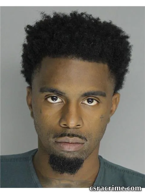 Devin Williams booking photo