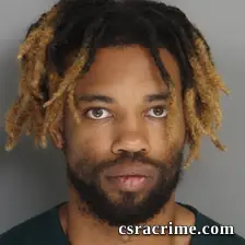 Devyn Tyler booking photo