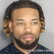 Devyn Tyler booking photo