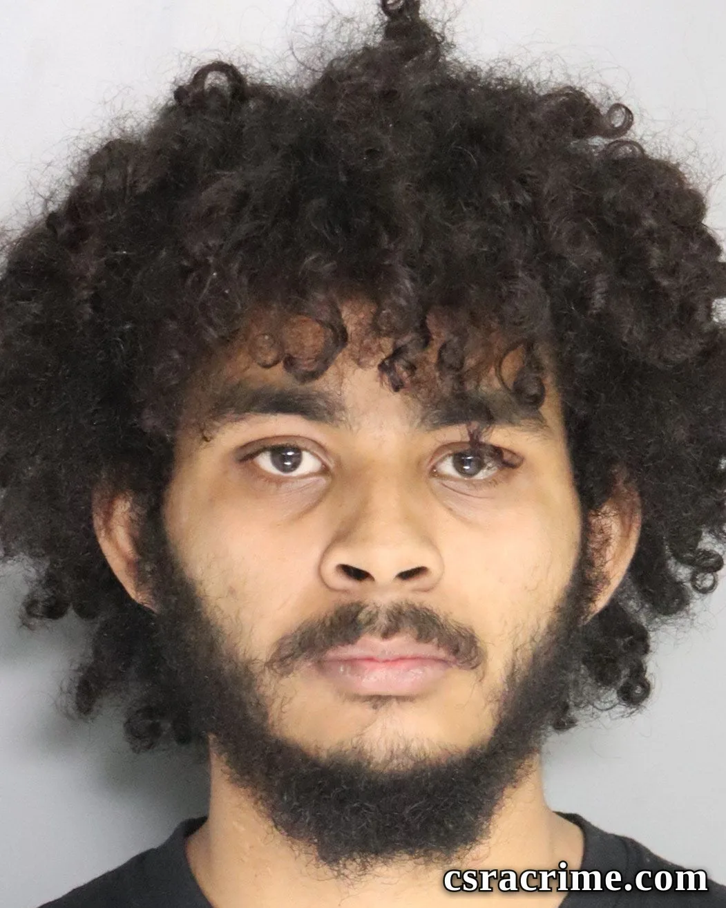 Dezmond Bryant booking photo