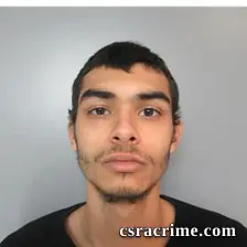 Dezmond Livingston booking photo