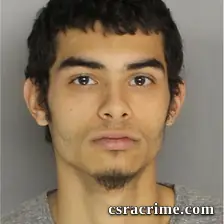 Dezmond Livingston booking photo