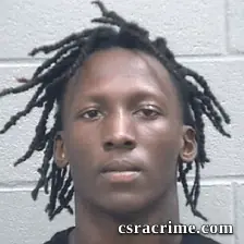 Diamonique Gibbons booking photo