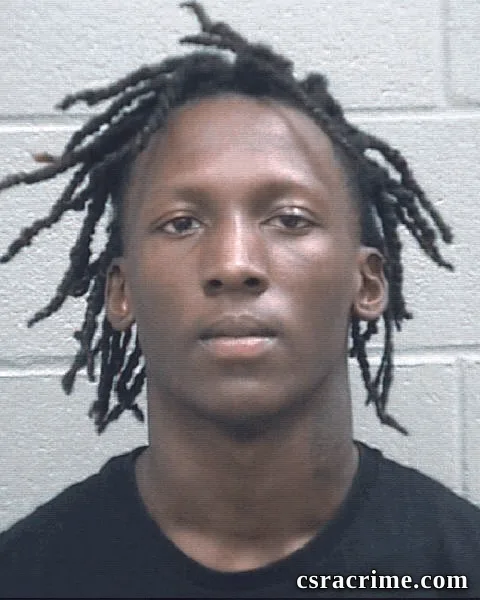 Diamonique Gibbons booking photo