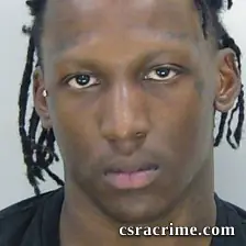 Diamonique Gibbons booking photo