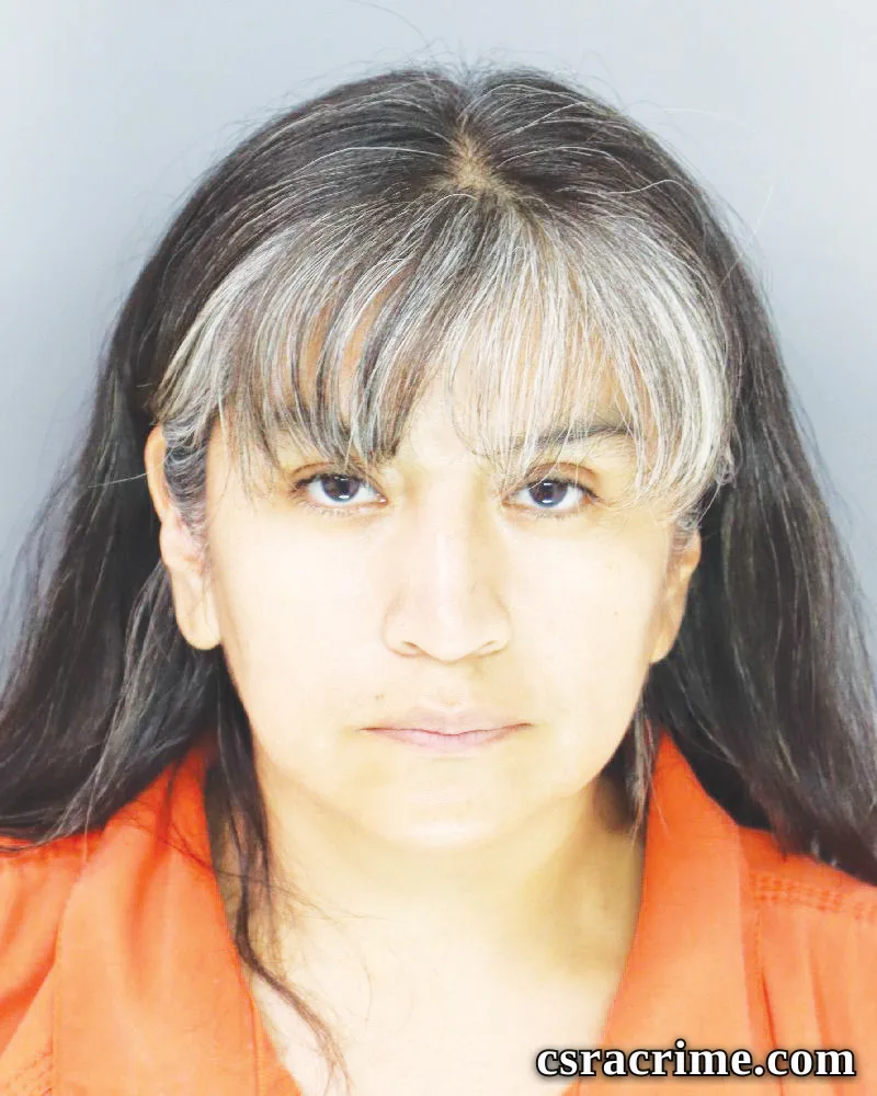 Diana Ochoa Crespo booking photo