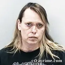 Diane Ambrose booking photo