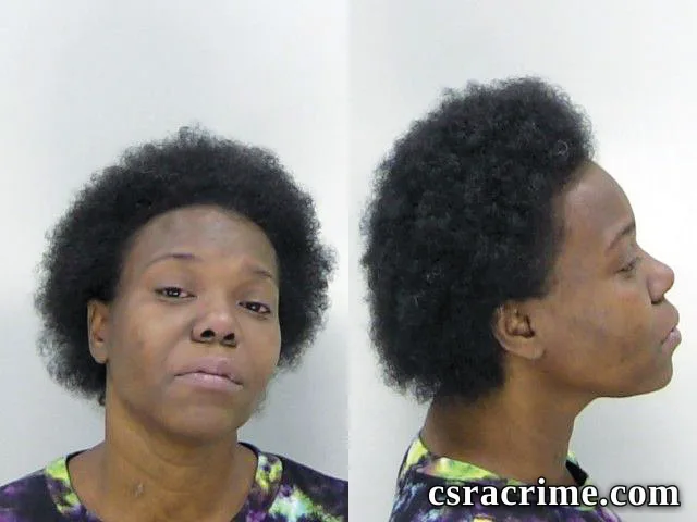 Diane Council booking photo