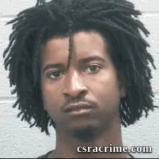Dimarrius Fields booking photo