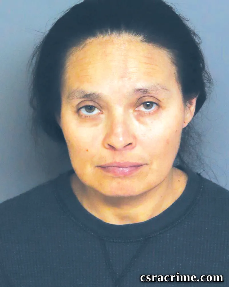 Dionicia Gonzalez booking photo