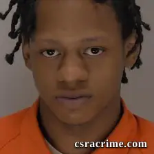 Diriuss Redd booking photo