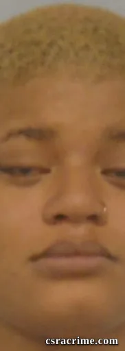 Dnija Akayla Preston booking photo