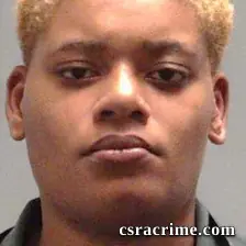 Dnija Akayla Preston booking photo