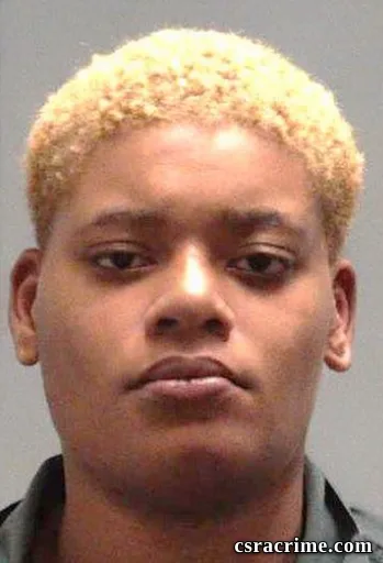 Dnija Akayla Preston booking photo