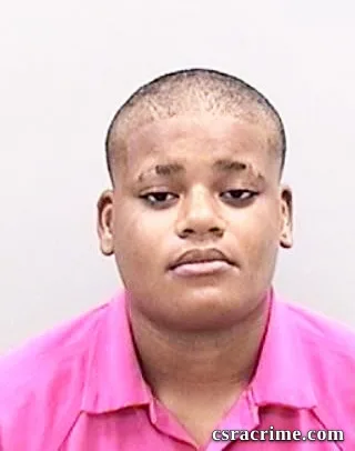 Dnija Preston booking photo