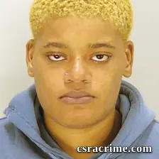 Dnija Preston booking photo