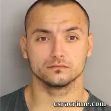 Dominic Ready booking photo