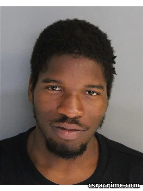 Dominique Bush booking photo