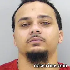 Dominique Coleman booking photo
