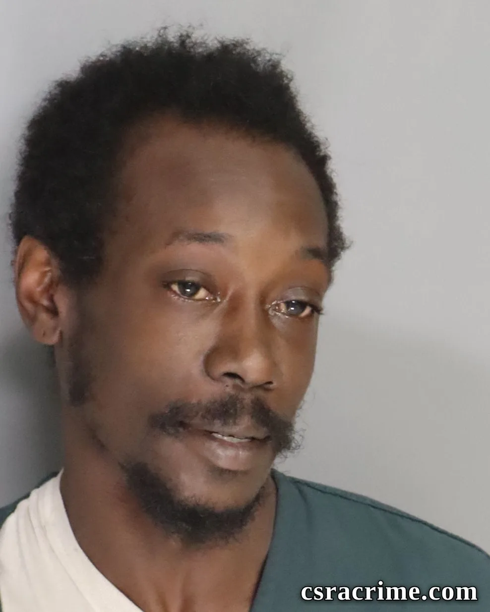 Dominique Conner booking photo