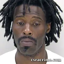 Dominique Dunn booking photo