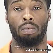 Dominique Dunn booking photo