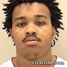 Dominique Ellis booking photo