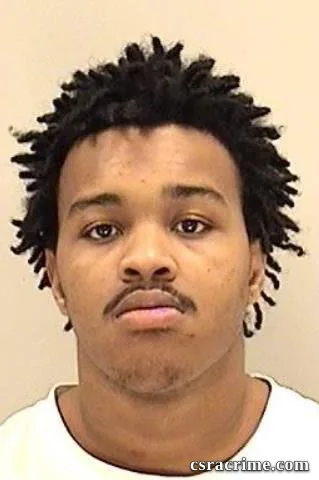 Dominique Ellis booking photo