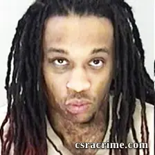 Dominique Haynes booking photo
