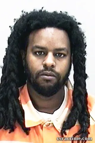 Dominique Johnson booking photo