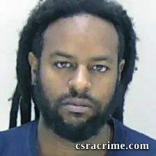 Dominique Johnson booking photo