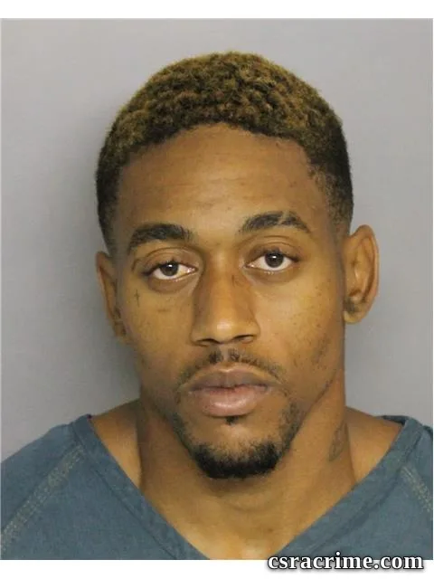 Dominique Johnson booking photo