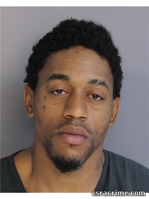 Dominique Johnson booking photo