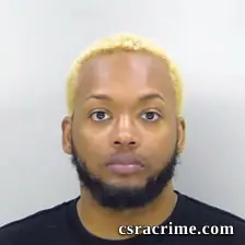 Dominique Logan booking photo