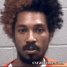 Dominique Mcginnis booking photo