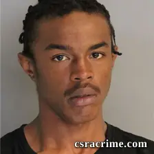 Dominique Parks booking photo