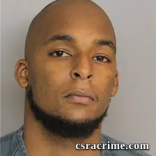 Dominique Robinson booking photo