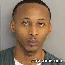 Dominique Williams booking photo