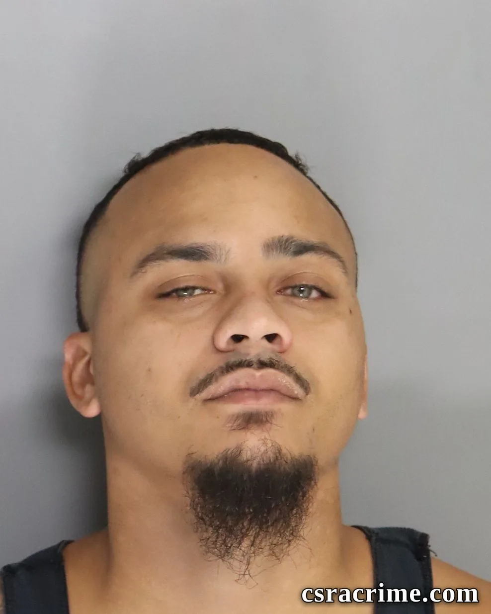 Dominque Coleman booking photo