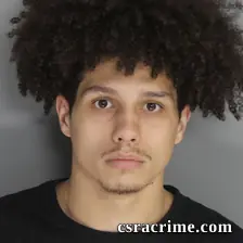 Domminick Thorsen booking photo