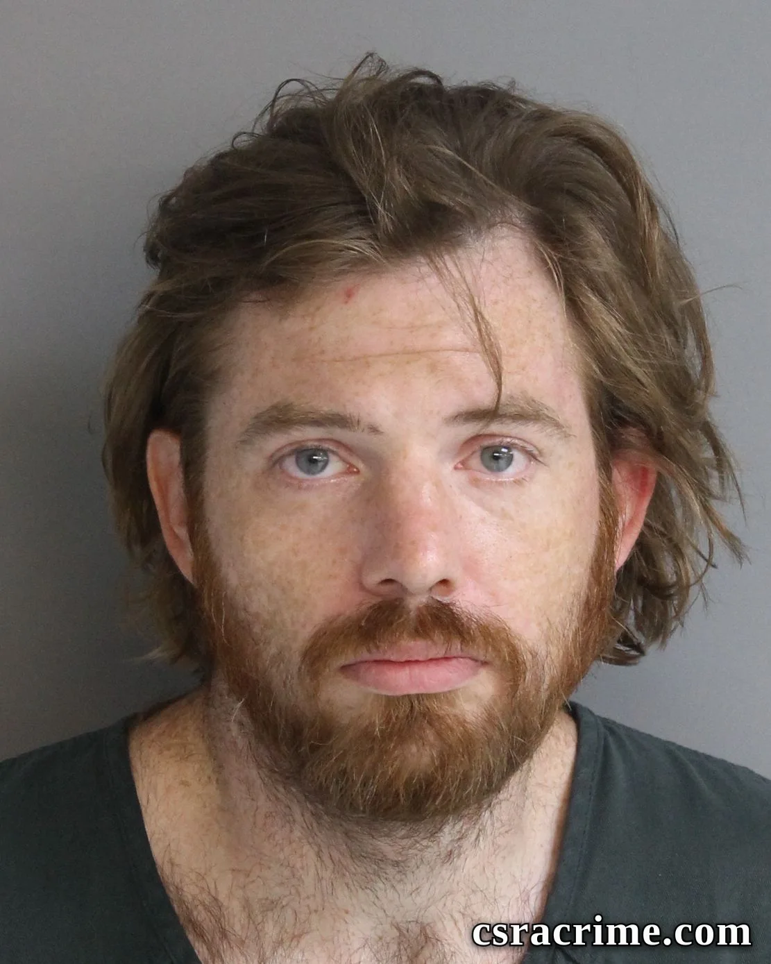 Donald Mchale Lewis booking photo