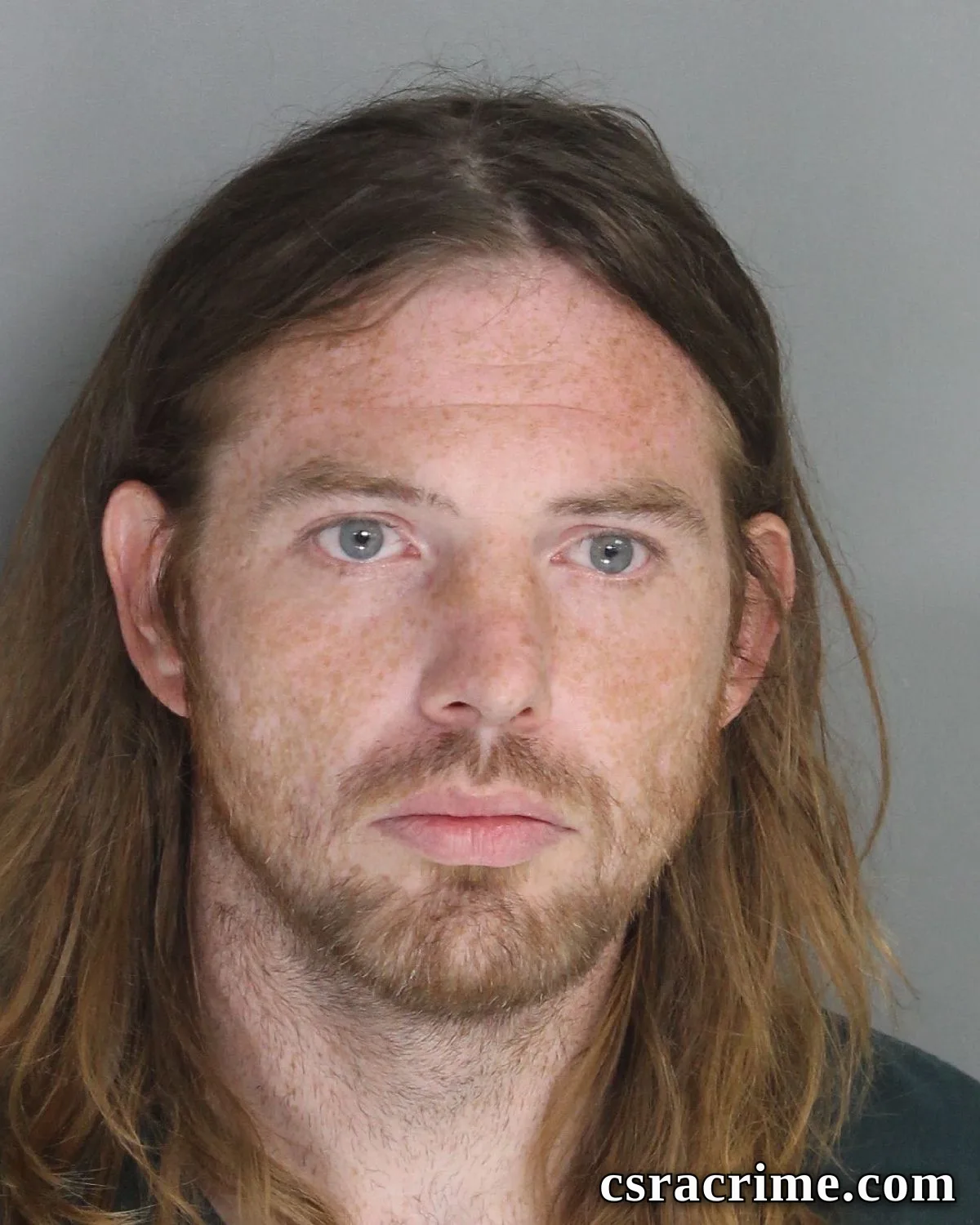 Donald Mchale Lewis booking photo