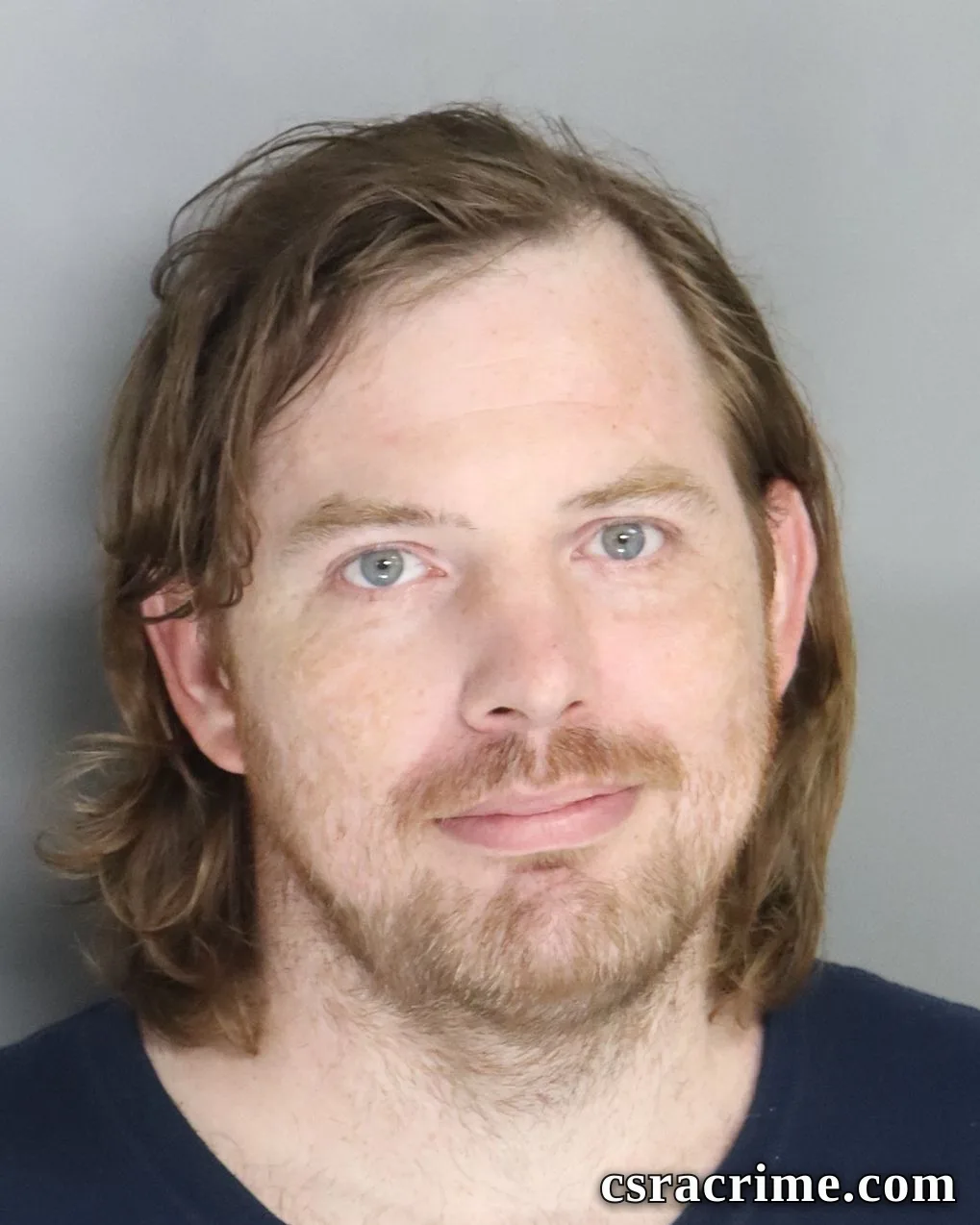 Donald Mchale Lewis booking photo