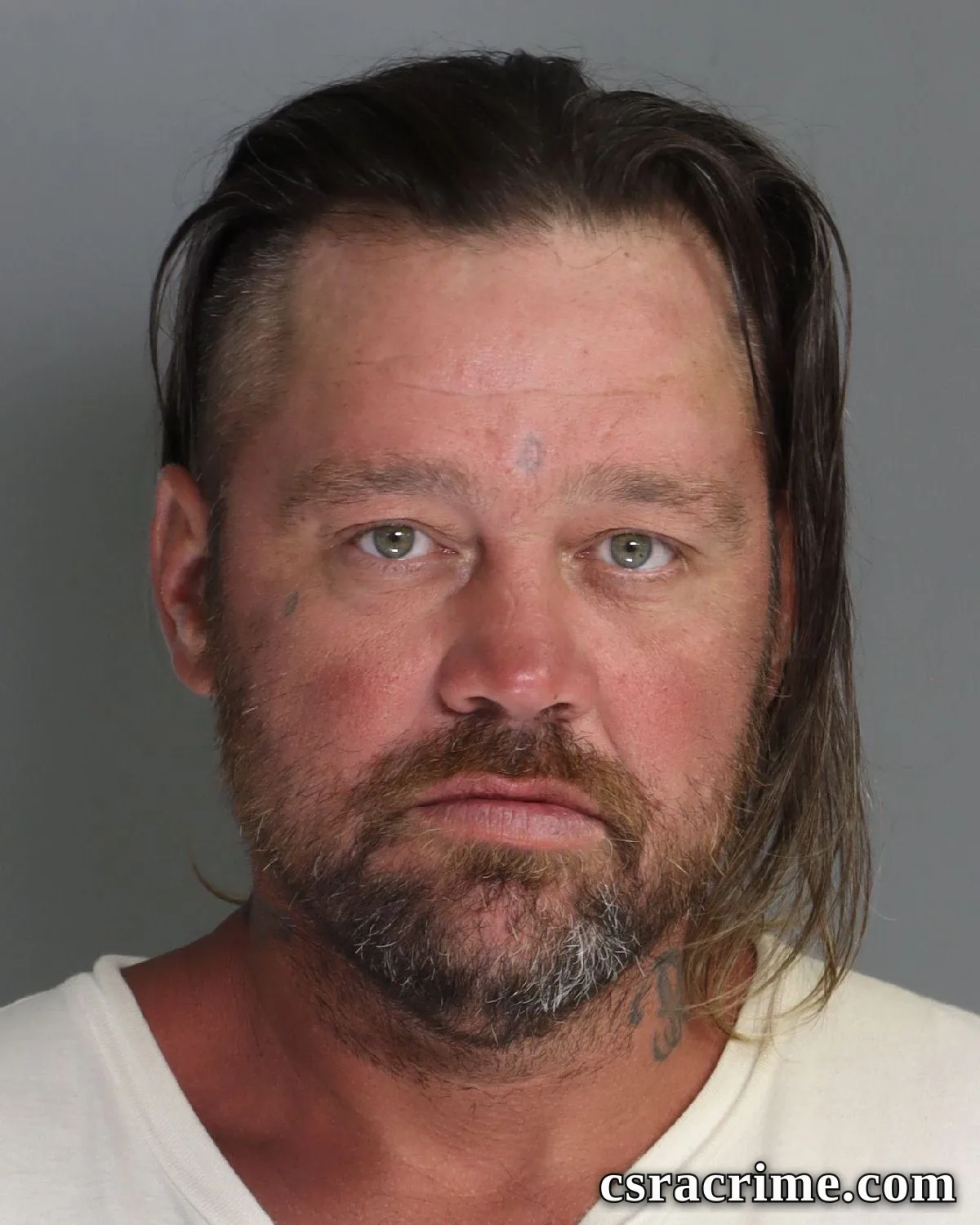 Donald Mixon booking photo