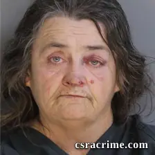 Donna Boyd booking photo