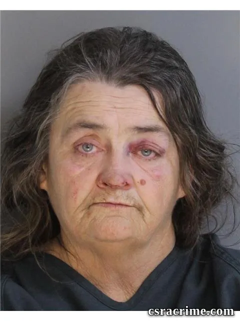 Donna Boyd booking photo