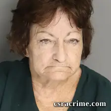 Donna Fulghum booking photo
